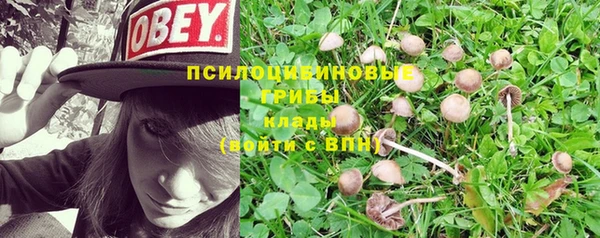 дурь Балабаново