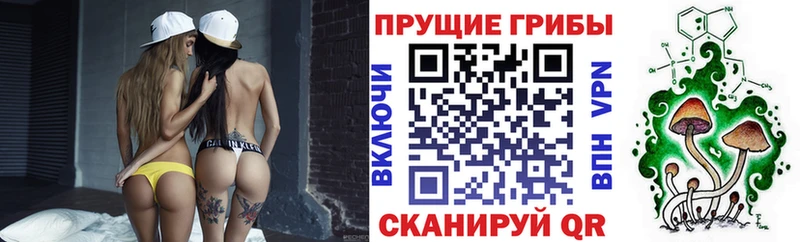 Галлюциногенные грибы ЛСД  Купить где  Борисоглебск 