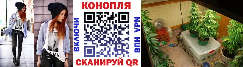 Купить закладки  Борисоглебск  Бошки марихуана OG Kush 